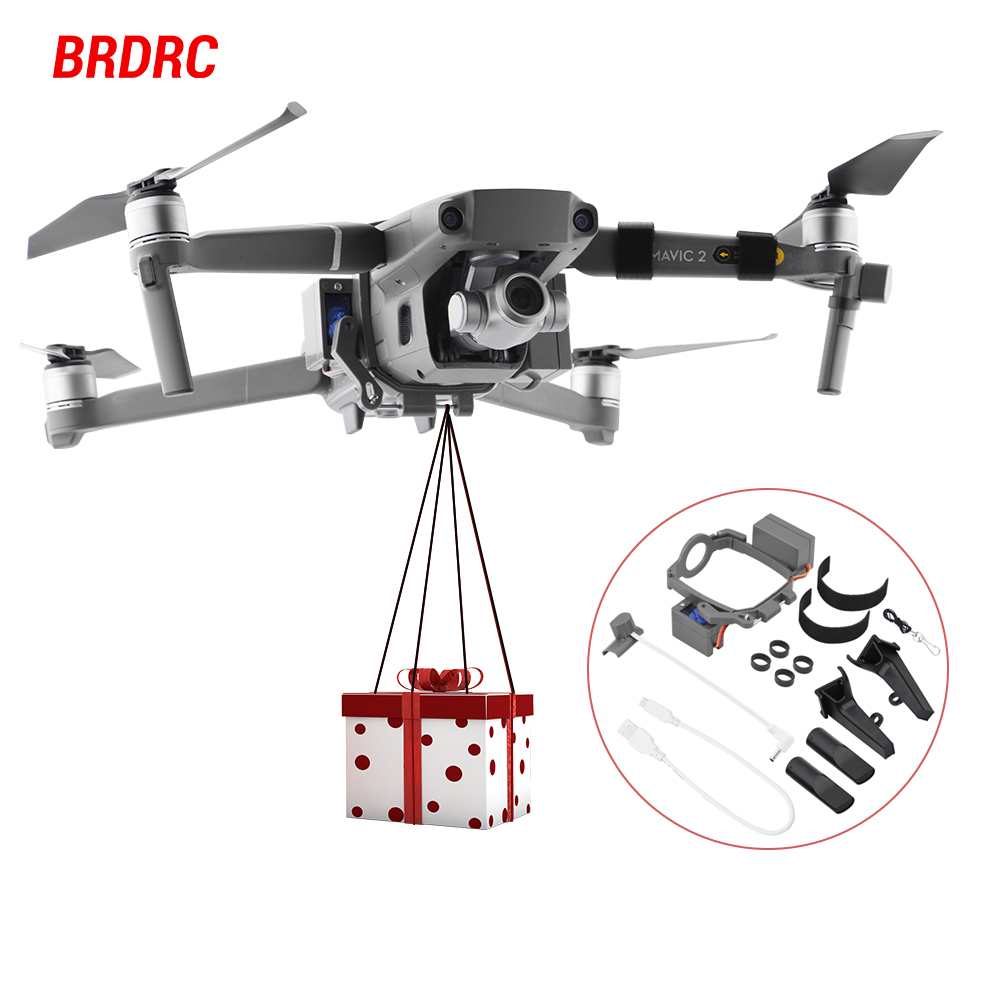 Sistema de Lanzamiento Aéreo p - Dji Drone Mini 3 reseña y precio